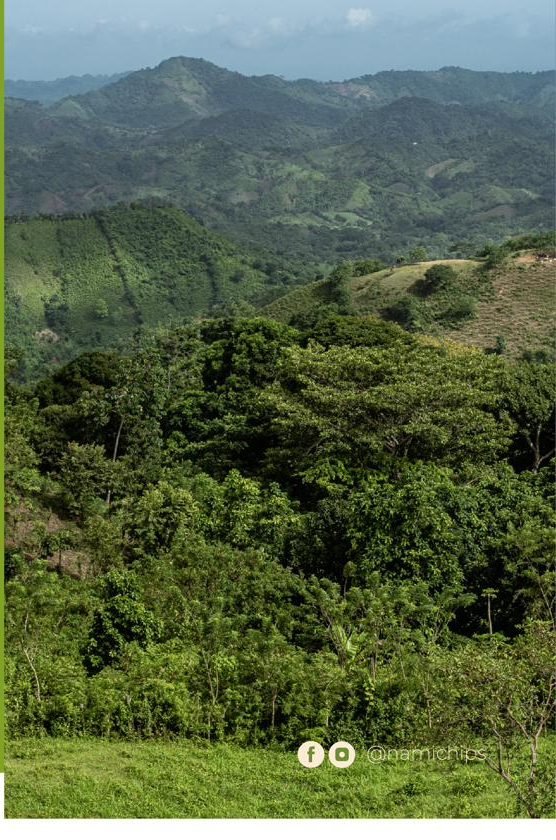 Bosque seco tropical en los Montes de María